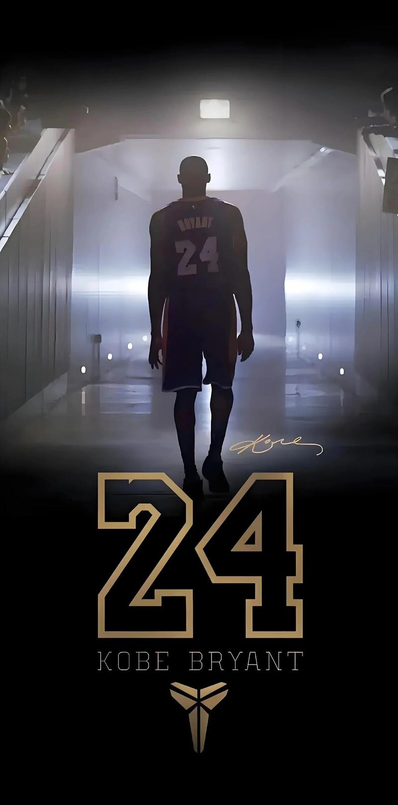 冠军在丹佛心跳在马厩 约基奇亲述与马为伴的快乐（人在丹佛夺冠，心在马厩：约基奇自述与马相伴的幸福）